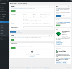 Page screenshot: Settings &rarr; .DOCX Source