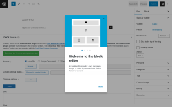 Page screenshot: Add New Post &lsaquo; Test site &mdash; WordPress