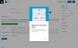 Page screenshot: Add New Page &lsaquo; Test site &mdash; WordPress