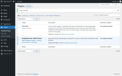 Page screenshot: Plugins &lsaquo; Test site &mdash; WordPress
