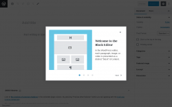 Page screenshot: Add New Post &lsaquo; Test site &mdash; WordPress