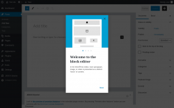 Page screenshot: Add New Post &lsaquo; Test site &mdash; WordPress