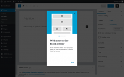 Page screenshot: Add New Post &lsaquo; Test site &mdash; WordPress