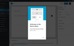 Page screenshot: Add New Page &lsaquo; Test site &mdash; WordPress
