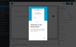 Page screenshot: Add New Post &lsaquo; Test site &mdash; WordPress