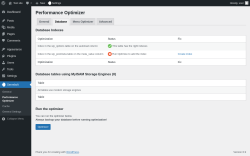 Page screenshot: Servebolt → Performance Optimizer → 
            Database        