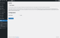 Page screenshot: Servebolt → Cache