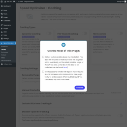 Page screenshot: Speed Optimizer → Caching