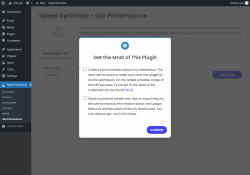 Page screenshot: Speed Optimizer &rarr; Site Performance