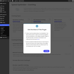 Page screenshot: Speed Optimizer &rarr; Caching