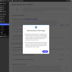 Page screenshot: Speed Optimizer &rarr; Media