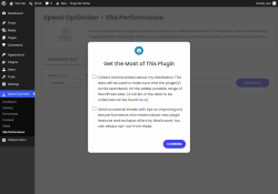 Page screenshot: Speed Optimizer &rarr; Site Performance