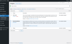 Page screenshot: Plugins &lsaquo; Test site &mdash; WordPress