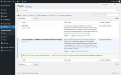 Page screenshot: Plugins &lsaquo; Test site &mdash; WordPress