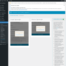 Page screenshot: WP DSGVO Tools → Tagmanager