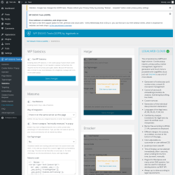 Page screenshot: WP DSGVO Tools → Statistics