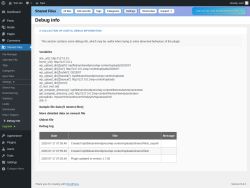 Page screenshot: Shared Files → ↳ Debug info