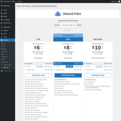 Page screenshot: Shared Files → Upgrade  ➤