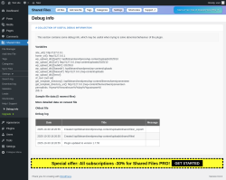 Page screenshot: Shared Files → ↳ Debug info