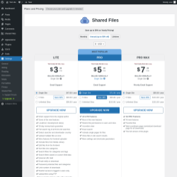 Page screenshot: Shared Files → Upgrade  ➤