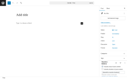 Page screenshot: Add Post ‹ Test site — WordPress