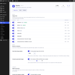 Page screenshot: Settings &rarr; ShinPix