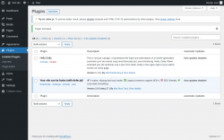 Page screenshot: Plugins &lsaquo; Test site &mdash; WordPress