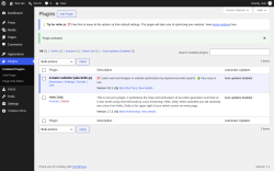 Page screenshot: Plugins &lsaquo; Test site &mdash; WordPress