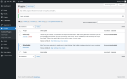 Page screenshot: Plugins &lsaquo; Test site &mdash; WordPress