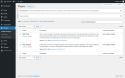 Page screenshot: Plugins &lsaquo; Test site &mdash; WordPress