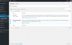 Page screenshot: Plugins &lsaquo; Test site &mdash; WordPress