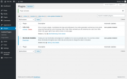Page screenshot: Plugins &lsaquo; Test site &mdash; WordPress