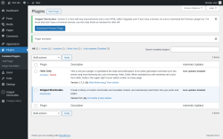 Page screenshot: Plugins &lsaquo; Test site &mdash; WordPress