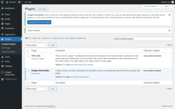 Page screenshot: Plugins &lsaquo; Test site &mdash; WordPress