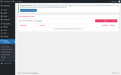 Page screenshot: Snippet Shortcodes