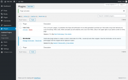 Page screenshot: Plugins &lsaquo; Test site &mdash; WordPress