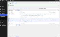 Page screenshot: Plugins &lsaquo; Test site &mdash; WordPress