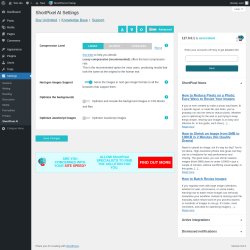 Page screenshot: Settings &rarr; ShortPixel AI