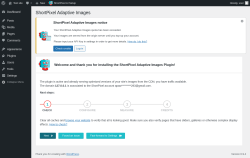 Page screenshot: ShortPixel AI On-Boarding &lsaquo; Test site &mdash; WordPress