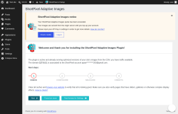 Page screenshot: ShortPixel AI On-Boarding &lsaquo; Test site &mdash; WordPress