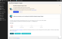 Page screenshot: ShortPixel AI On-Boarding &lsaquo; Test site &mdash; WordPress