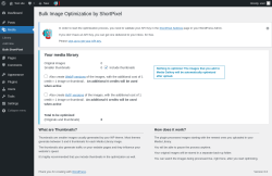 Page screenshot: Media → Bulk ShortPixel