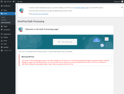 Page screenshot: Media → Bulk ShortPixel