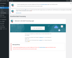 Page screenshot: Media → Bulk ShortPixel