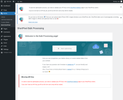 Page screenshot: Media → Bulk ShortPixel