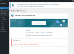 Page screenshot: Media → Bulk ShortPixel