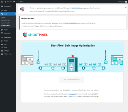 Page screenshot: Media → Bulk ShortPixel