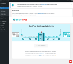 Page screenshot: Media → Bulk ShortPixel