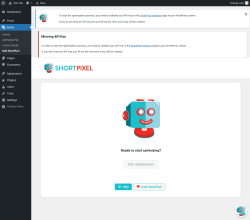 Page screenshot: Media &rarr; Bulk ShortPixel