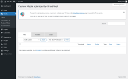 Page screenshot: Media &rarr; Custom Media